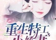 特工娇妻,隐秘身份下的甜蜜较量