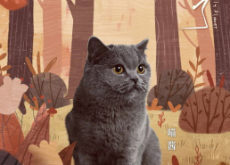 地球脸红了,揭秘全球变暖的警示与应对