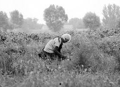 大地母亲,探寻自然与生命的和谐交响