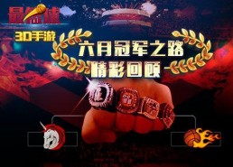 冠军之路,揭秘成功背后的奋斗与智慧