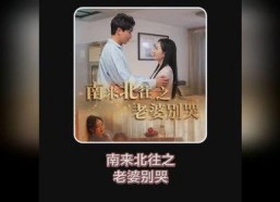 南来北往之老婆别哭,老婆别哭，共度风雨