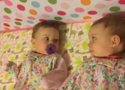 双胞胎萌娃攻略离婚爸妈,离婚爸妈共谱新篇章