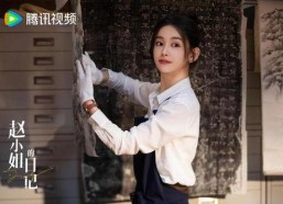 赵小姐的日记,生活点滴与心灵独白