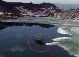 天池水怪,探寻神秘天池水怪之谜